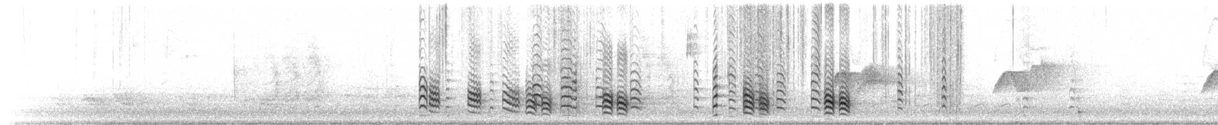 White-breasted Nuthatch - ML652453718