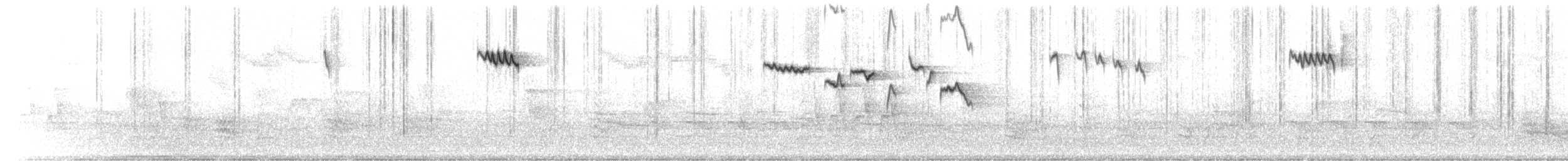 Brown Creeper - ML652453738