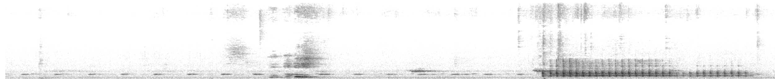 White-bellied Woodpecker - ML652457102