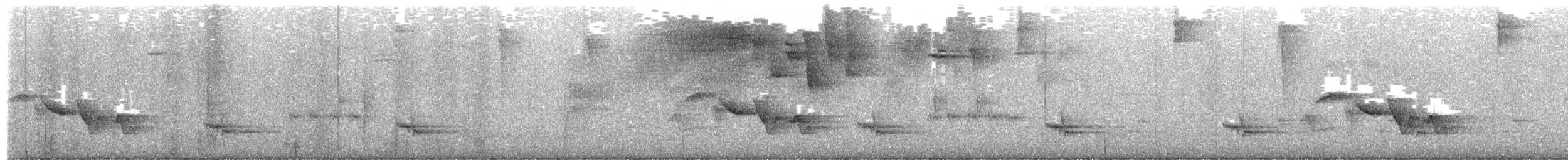 Puerto Rican Vireo - ML652457168