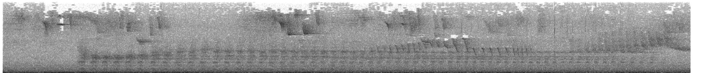 Puerto Rican Lizard-Cuckoo - ML652457240