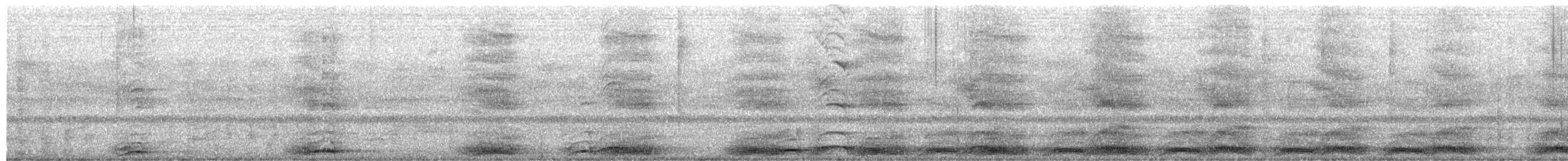 Schalow's Turaco - ML652457268