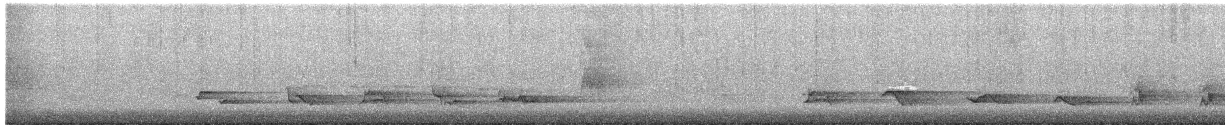 American Robin - ML652457381