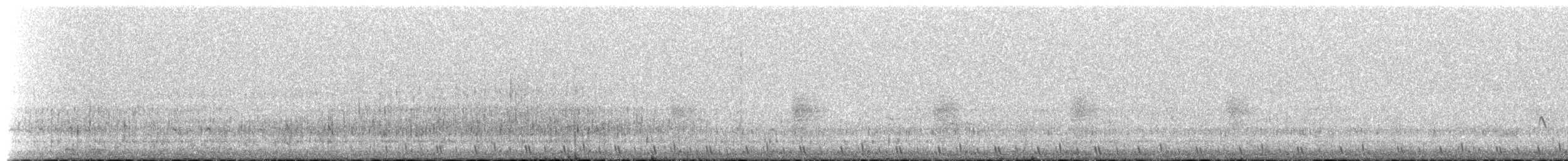 Bécassine sourde - ML652457635