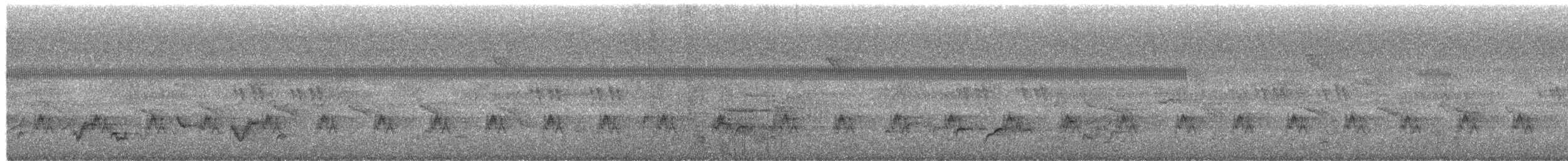 Apalis Pechigualdo - ML652457963