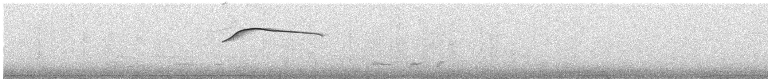 Barred Fruiteater - ML652460220