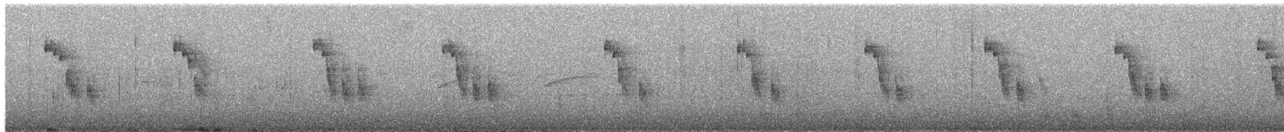 Mountain Wren - ML652460262