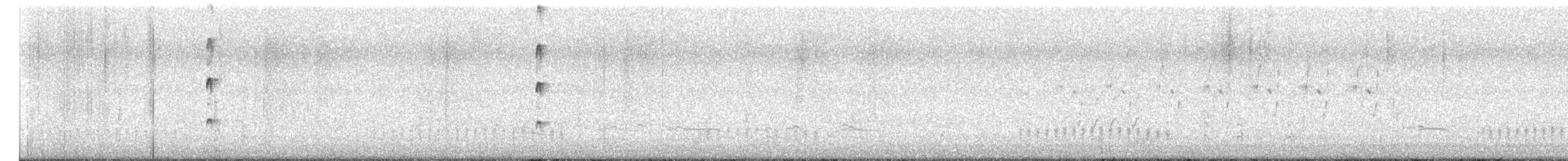 Wasserralle - ML652460994