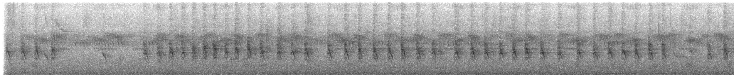 Suimanga Pechiescarlata - ML652463108
