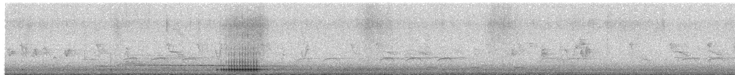 Hairy Woodpecker - ML652474060