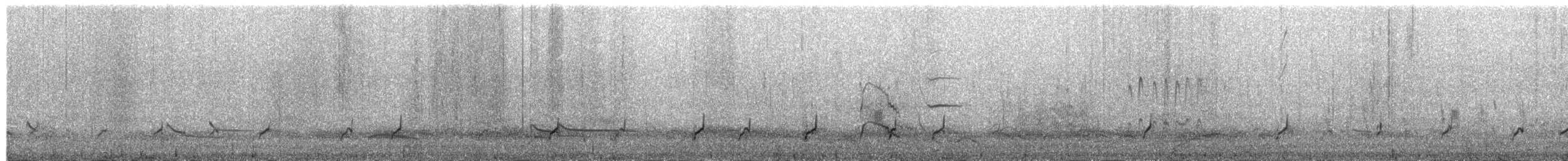 Abozeta kaskabeltza - ML652476412