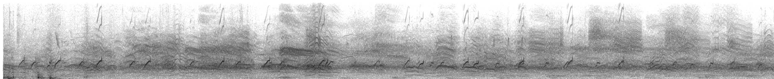 Abozeta kaskabeltza - ML652476413