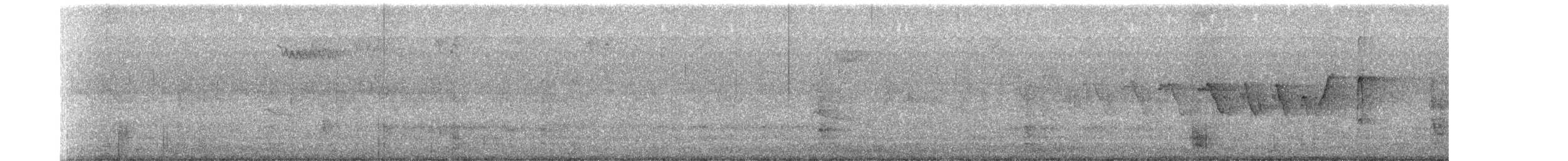 Yellow-throated Warbler - ML652479065