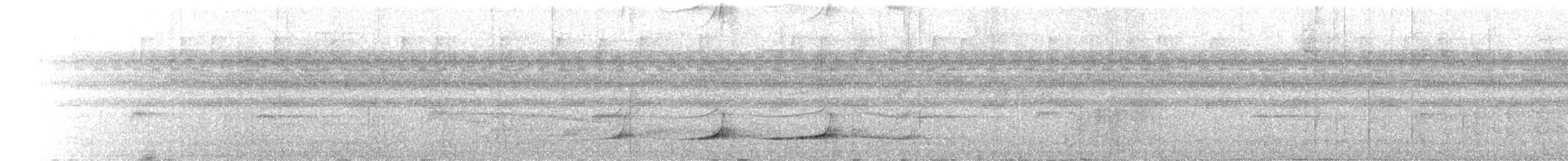 Northern Barred-Woodcreeper - ML652487905