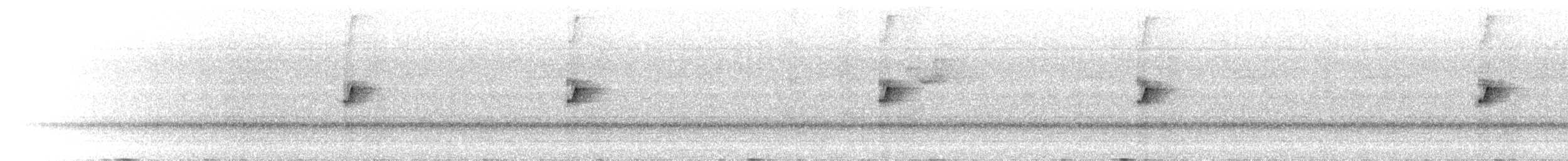 Black-capped Pygmy-Tyrant - ML652488077