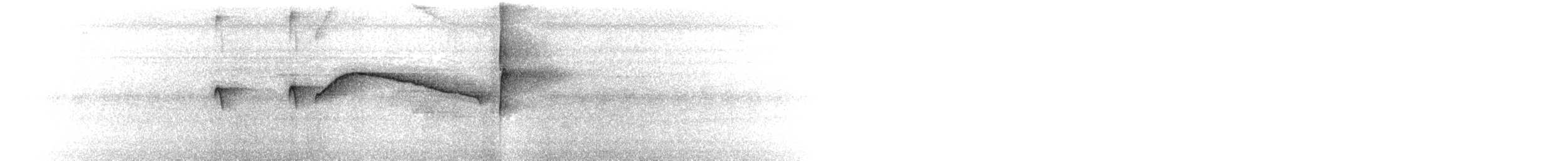 Red-capped Manakin - ML652488143