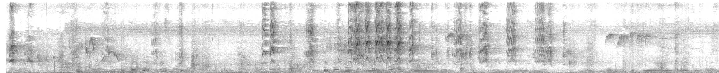 baturitéparakitt - ML652489266