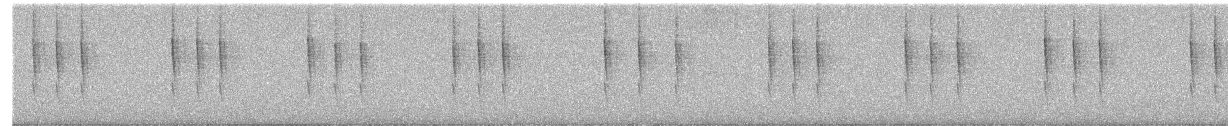 Pacific Wren - ML652489393