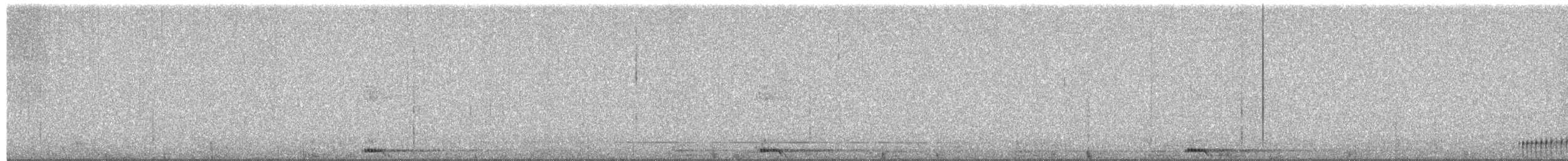 Common Raven - ML652489891