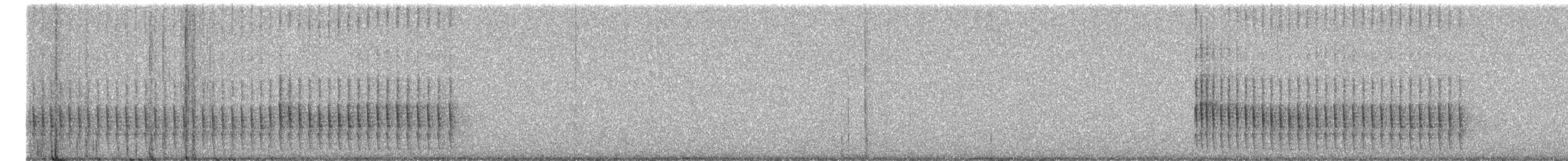 Belted Kingfisher - ML652490250