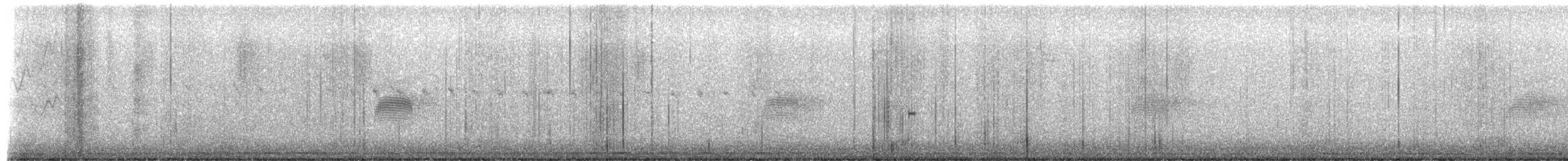 Bécasse d'Amérique - ML652492436