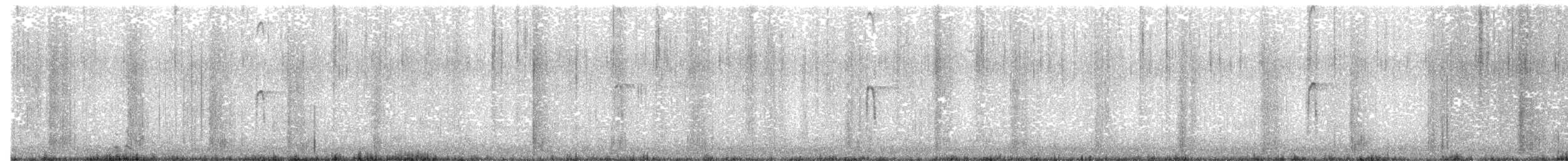 Hairy Woodpecker - ML652492705