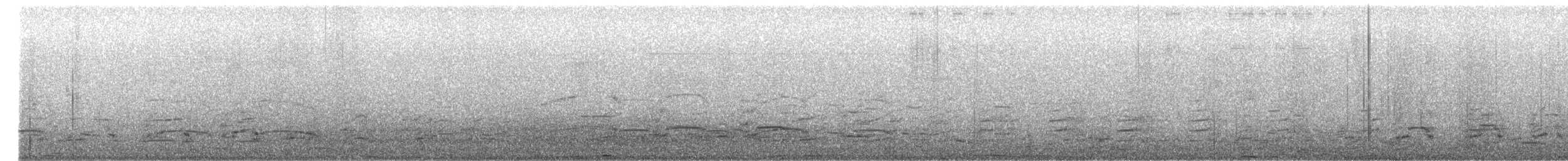 クロワカモメ - ML652494016