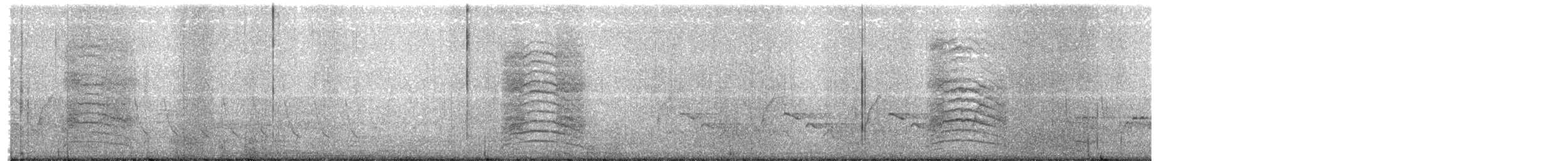 ネコマネドリ - ML652495109