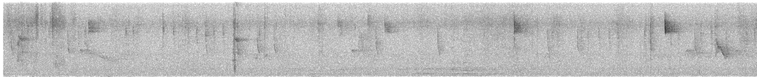 Hairy Woodpecker (South Mexican) - ML652497468