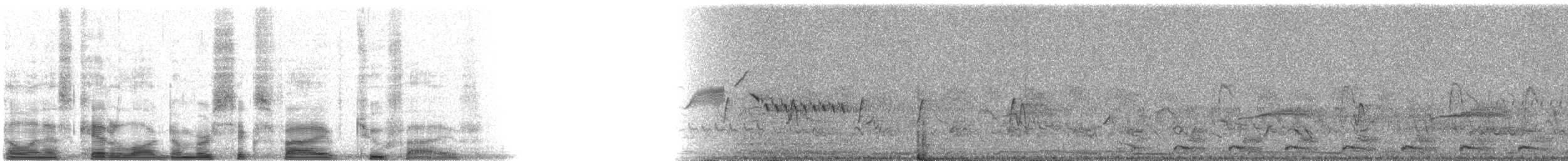 Coppery-tailed Trogon - ML6525