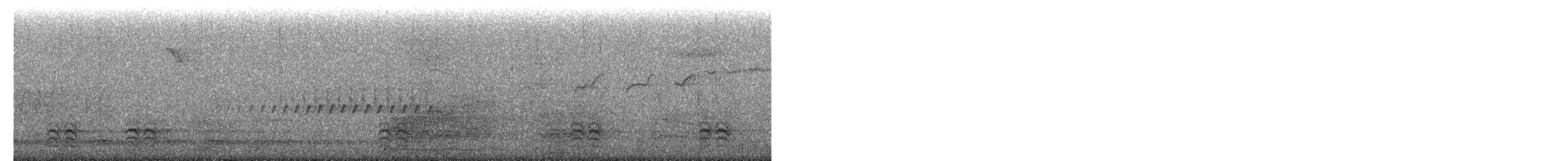 Каролинский поползень - ML652504201