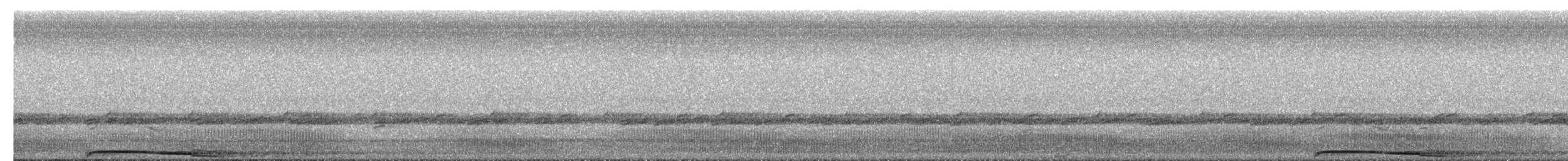 Barred Owl - ML652504329