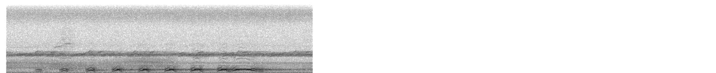 Barred Owl - ML652504330