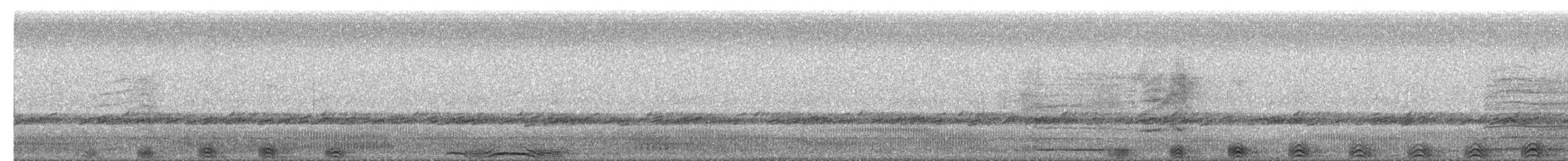 Barred Owl - ML652504331