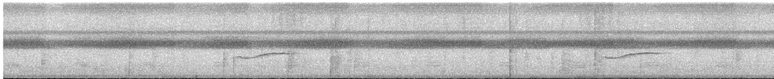 Doğulu Pivi - ML652504400