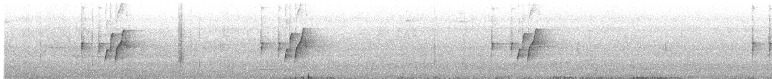 ムジミソサザイ - ML652505432