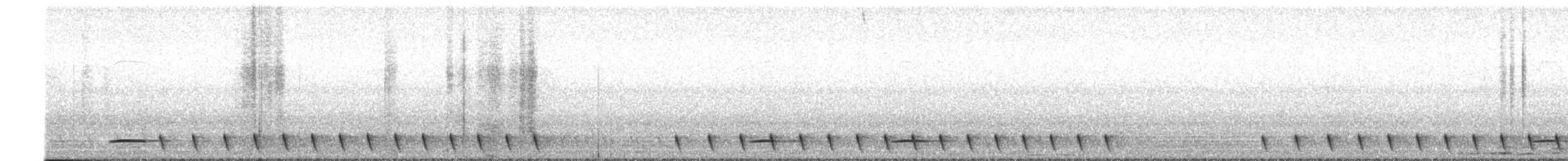 ヨタカ - ML652505453