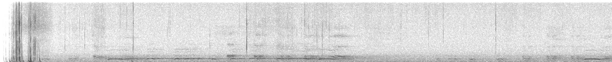 Barred Owl - ML652505459