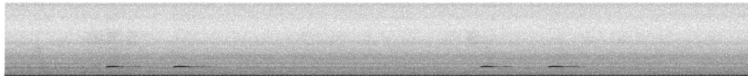 タイワンコノハズク - ML652505461