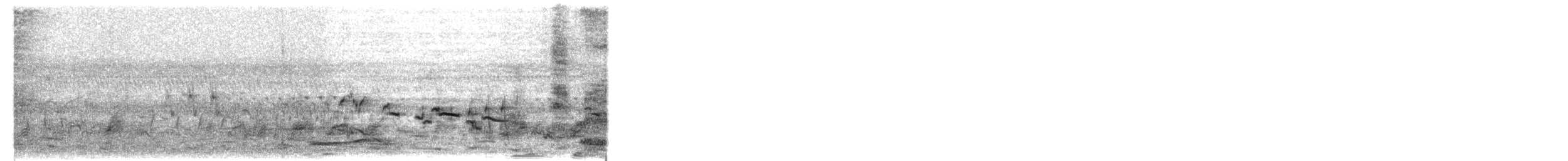 ハシボソヤブチメドリ - ML652505462