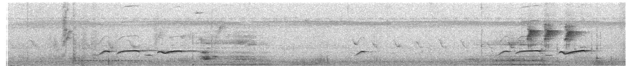 ヒメカッコウ - ML652505489