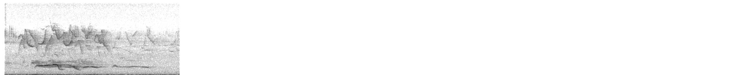 ヒゴロモ - ML652505501