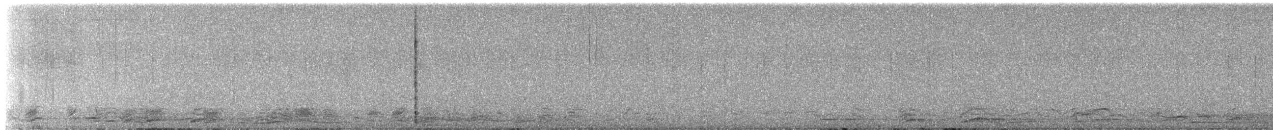 Great Lakes Coyote - ML652505510