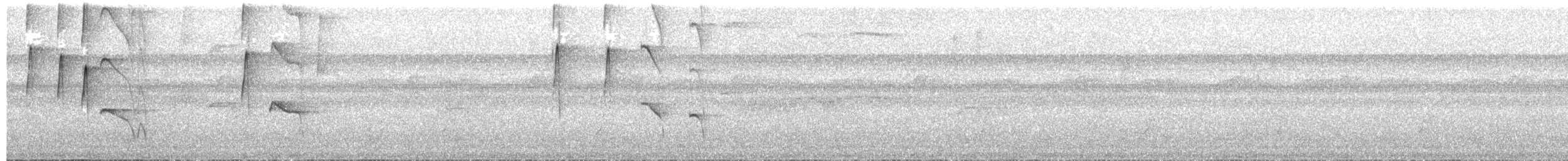 哺乳綱 - ML652505521