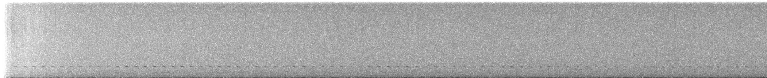 ホオジロガモ - ML652505530