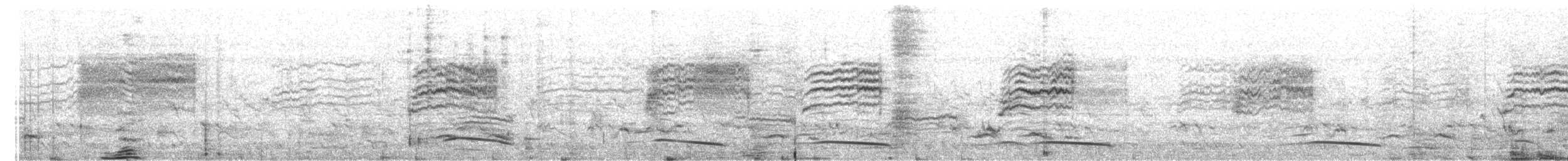 タイワンセッカ - ML652505649