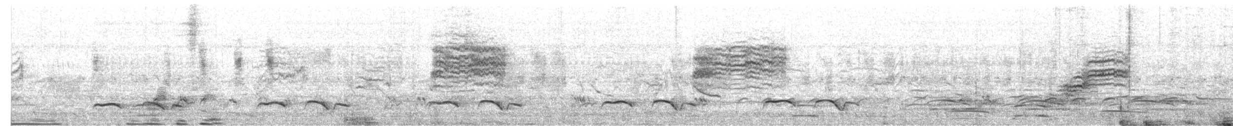 タイワンセッカ - ML652505650