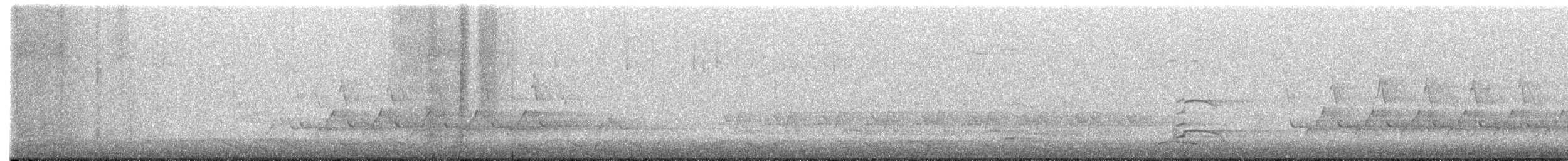 チャバラマユミソサザイ - ML652506009