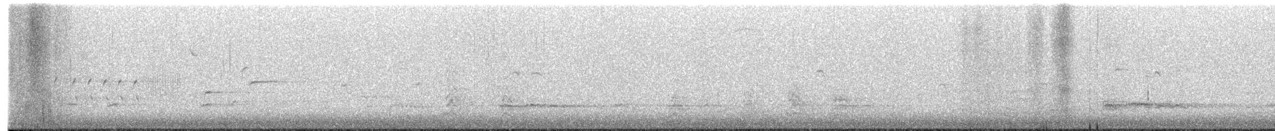 コガモ - ML652506010