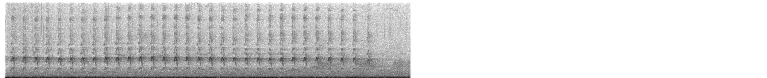 ハシボソキツツキ - ML652506019